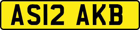 AS12AKB