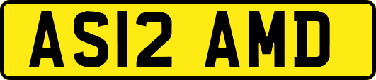 AS12AMD