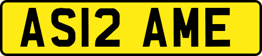 AS12AME