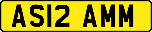 AS12AMM