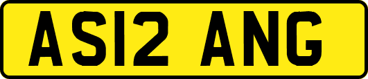 AS12ANG