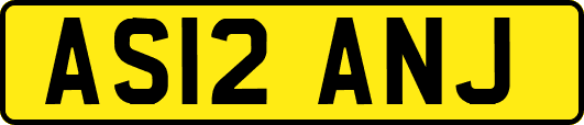 AS12ANJ