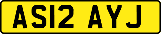 AS12AYJ