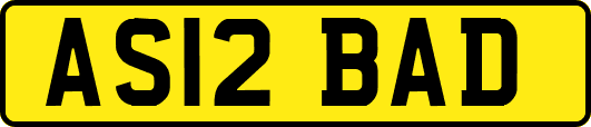 AS12BAD