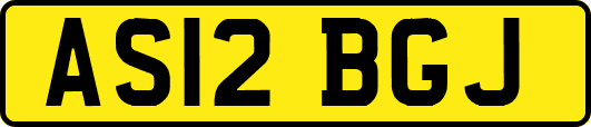 AS12BGJ