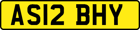 AS12BHY