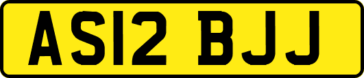 AS12BJJ