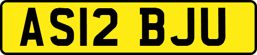 AS12BJU