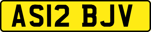 AS12BJV