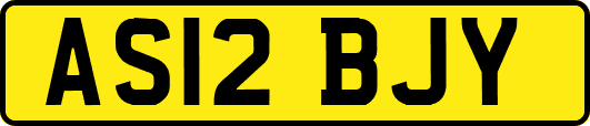 AS12BJY