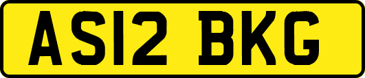 AS12BKG