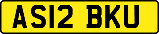 AS12BKU