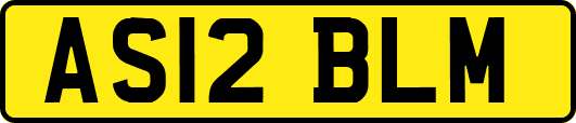 AS12BLM