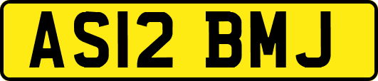 AS12BMJ