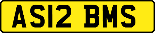 AS12BMS