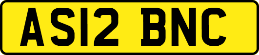 AS12BNC