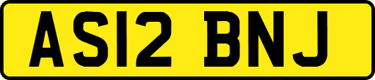 AS12BNJ