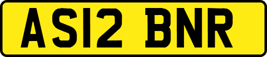 AS12BNR