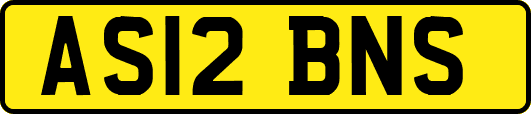 AS12BNS