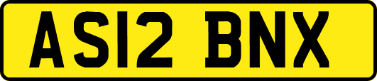 AS12BNX