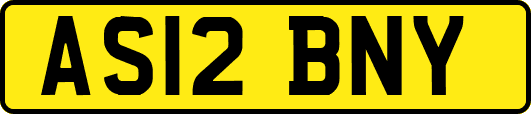 AS12BNY
