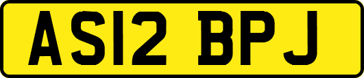 AS12BPJ