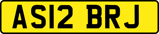 AS12BRJ