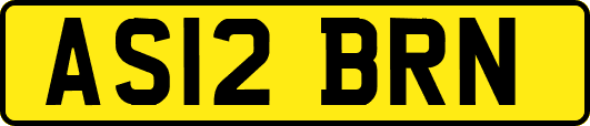 AS12BRN