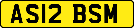 AS12BSM