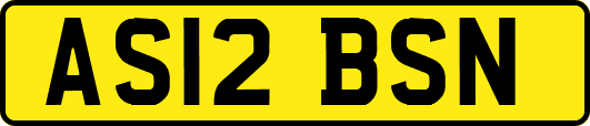 AS12BSN