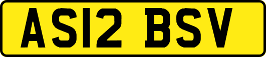 AS12BSV