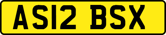 AS12BSX