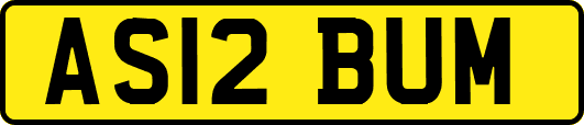 AS12BUM