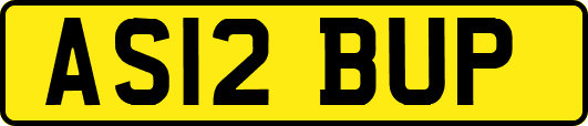 AS12BUP