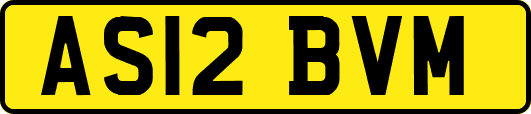 AS12BVM