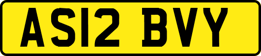 AS12BVY