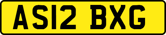 AS12BXG