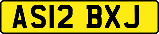 AS12BXJ