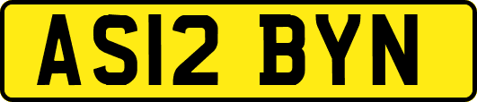 AS12BYN