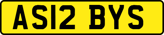 AS12BYS