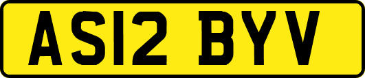 AS12BYV