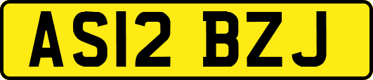 AS12BZJ