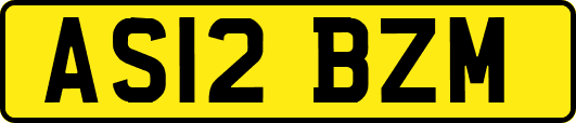 AS12BZM