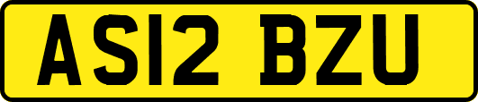 AS12BZU