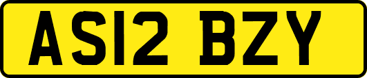 AS12BZY