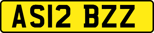 AS12BZZ