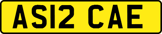 AS12CAE