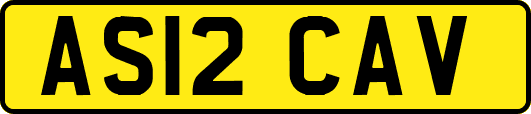 AS12CAV