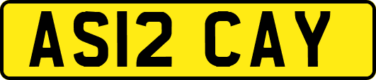 AS12CAY