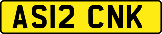 AS12CNK